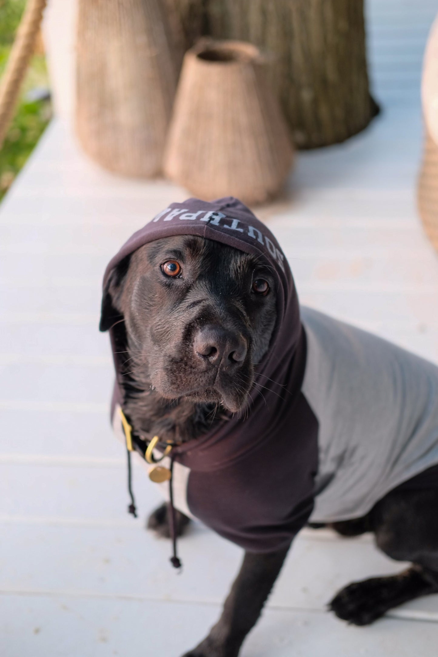 DOG HOODIE SOUTHPAW - HEATHER GREY/BLACK