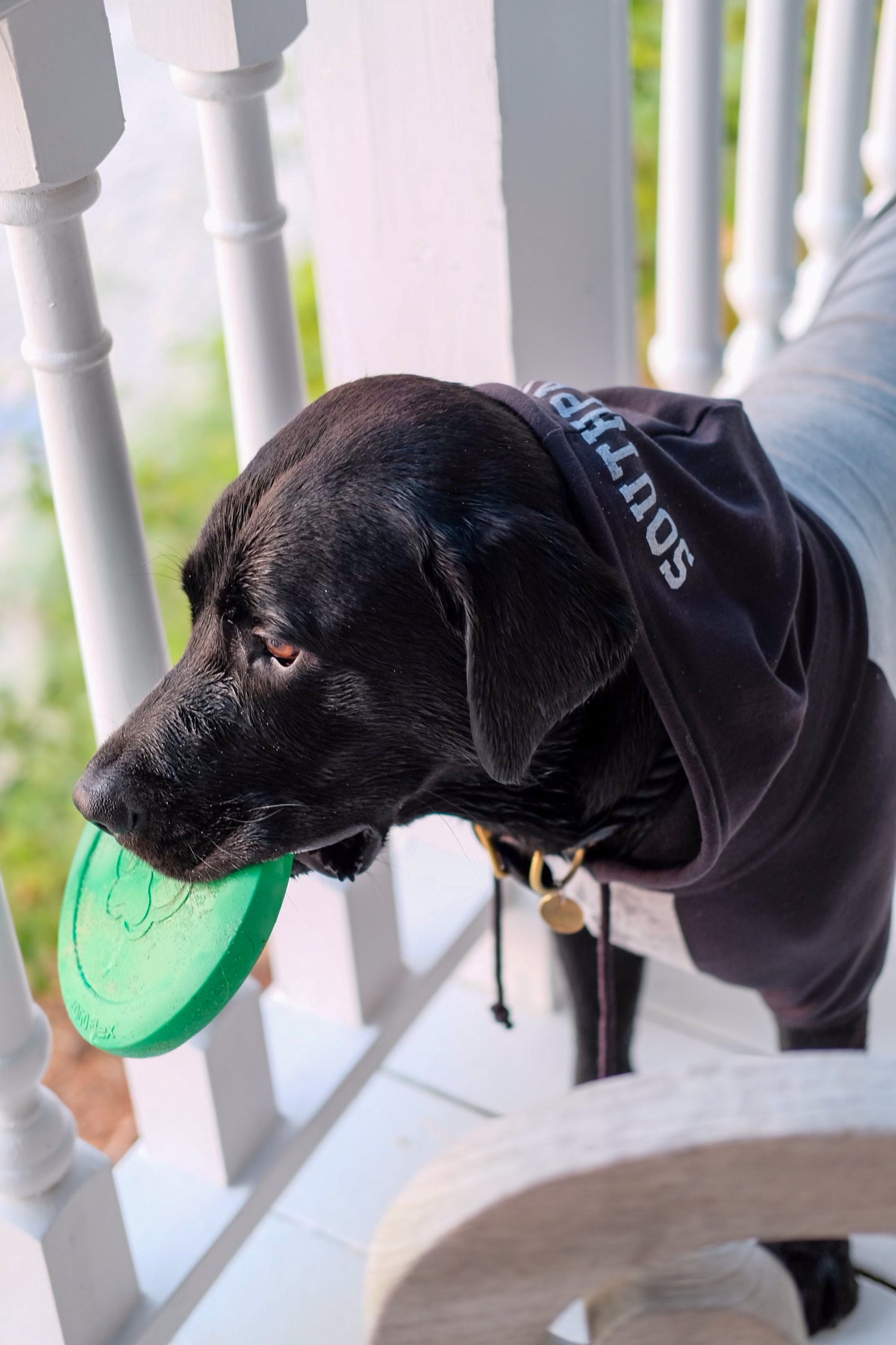 DOG HOODIE SOUTHPAW - HEATHER GREY/BLACK